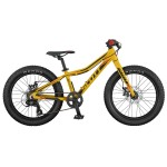 Scott scale cheap 20 jr plus